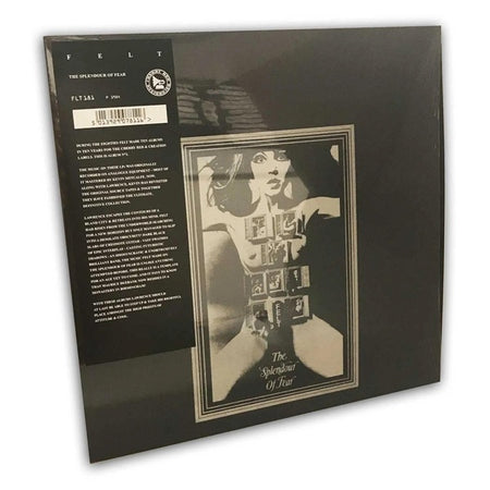 THE SPLENDOUR OF FEAR - Front Cover