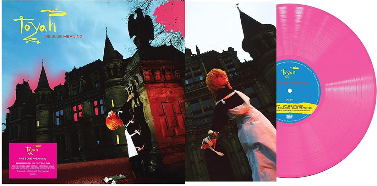 THE BLUE MEANING - Front Cover