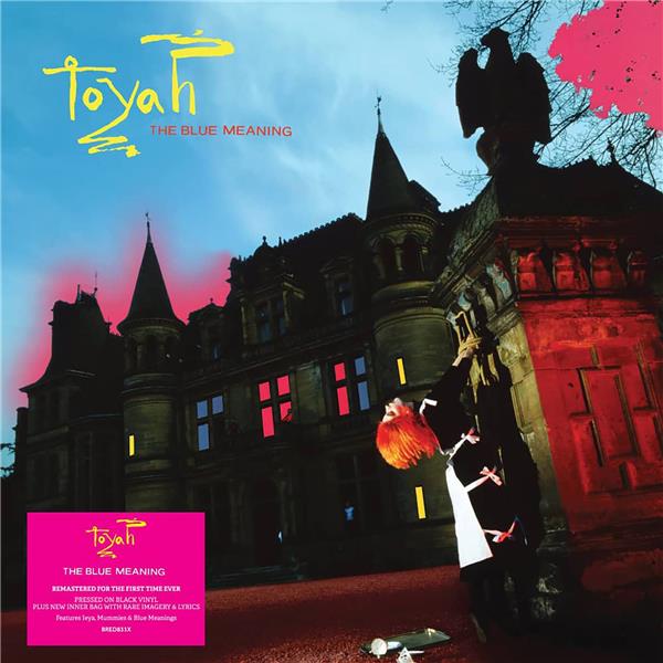 THE BLUE MEANING - Front Cover