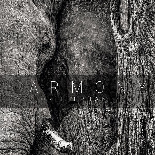 Harmony For Elephants - Front Cover