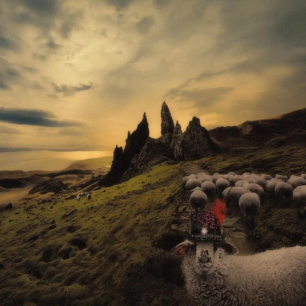 SHEEPLE - Front Cover