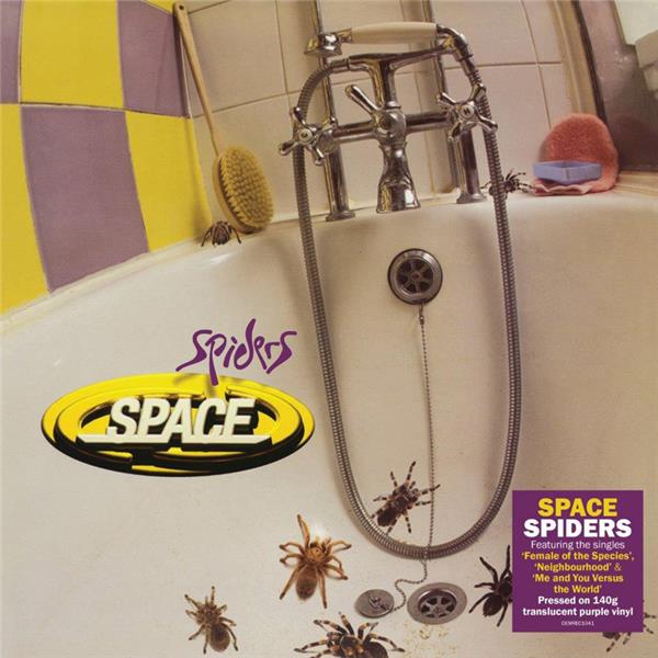 Spiders - Front Cover