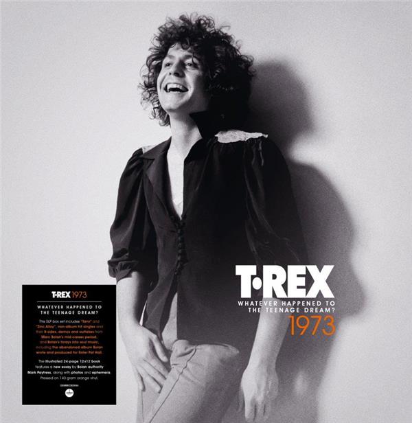 Whatever Happened to the Teenage Dream - 1973 - Front Cover