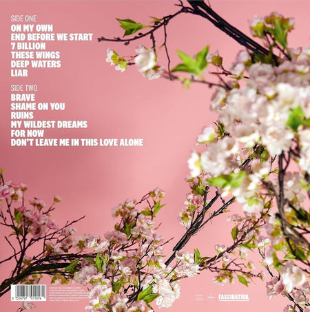 My Wildest Dream - Front Cover