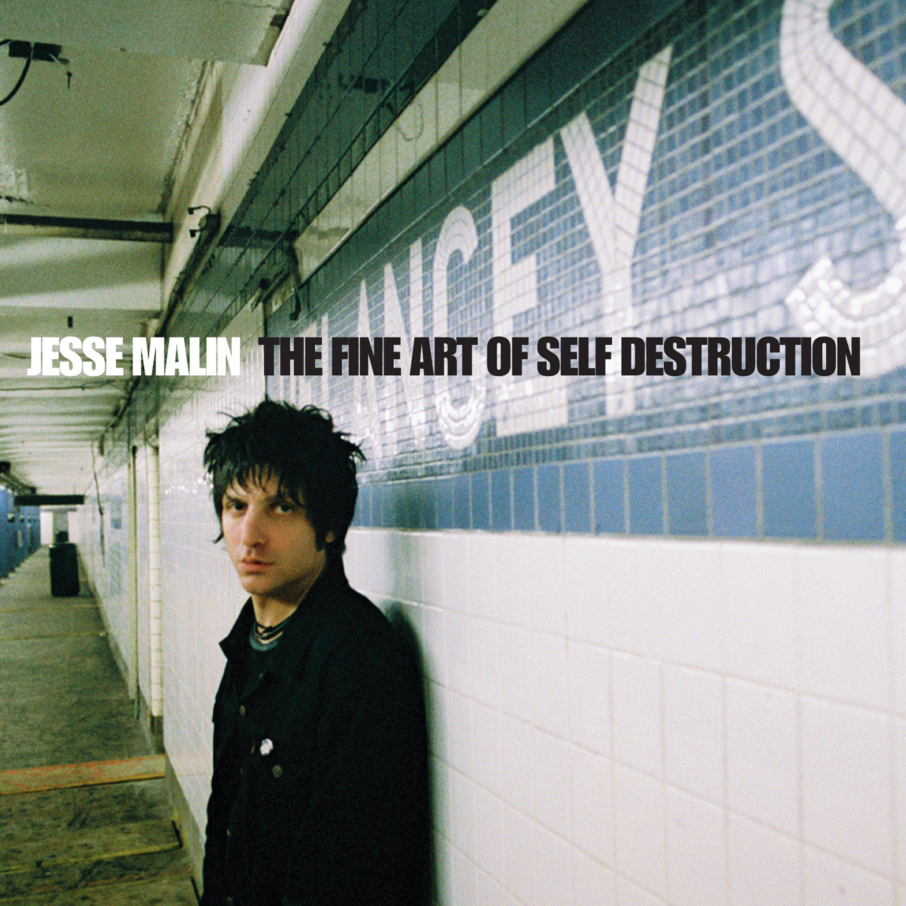 Fine Art of Self-Destruction - Front Cover