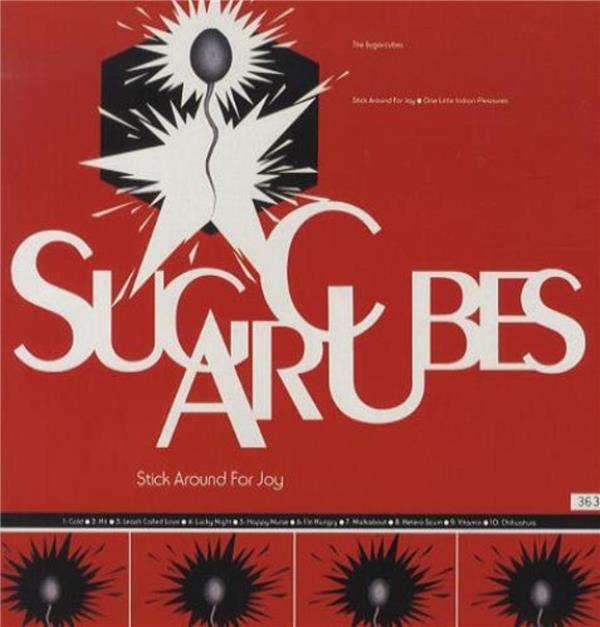 Stick around for joy - Front Cover
