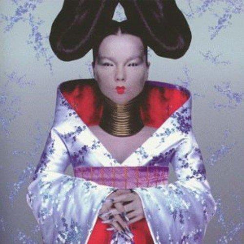 Homogenic - Front Cover