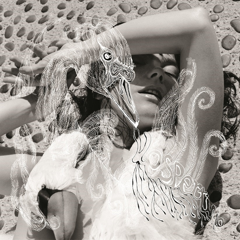 VESPERTINE/VINYLE AUDIOPHILE 180GR - Front Cover