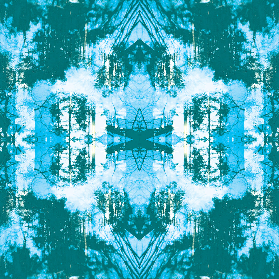 Dissolve/180g - Front Cover