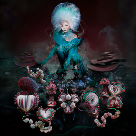 FOSSORA/VINYLE COULEUR - Front Cover