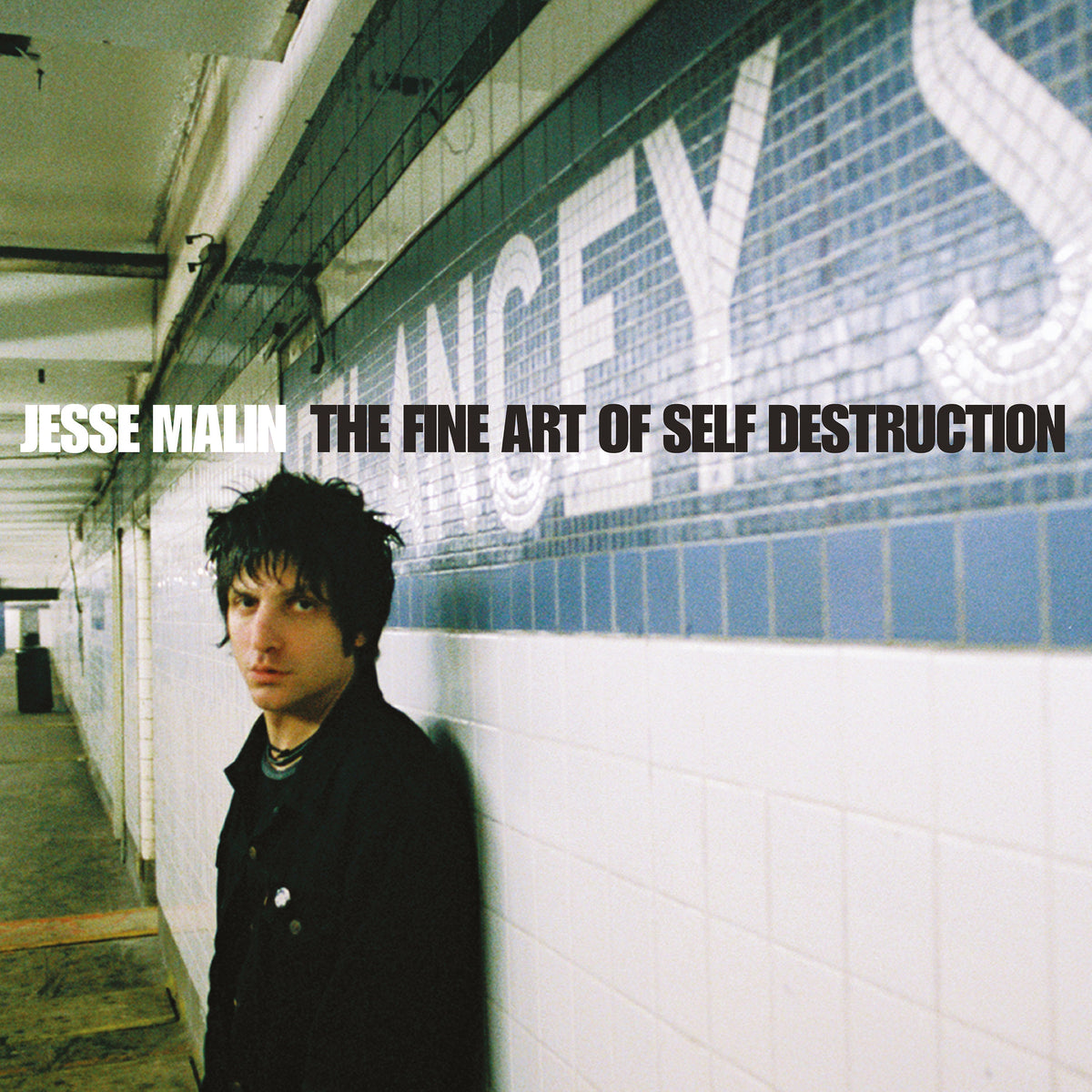 FINE ART OF SELF DESTRUCTION/20TH ANNIVERSARY EDITION - Front Cover