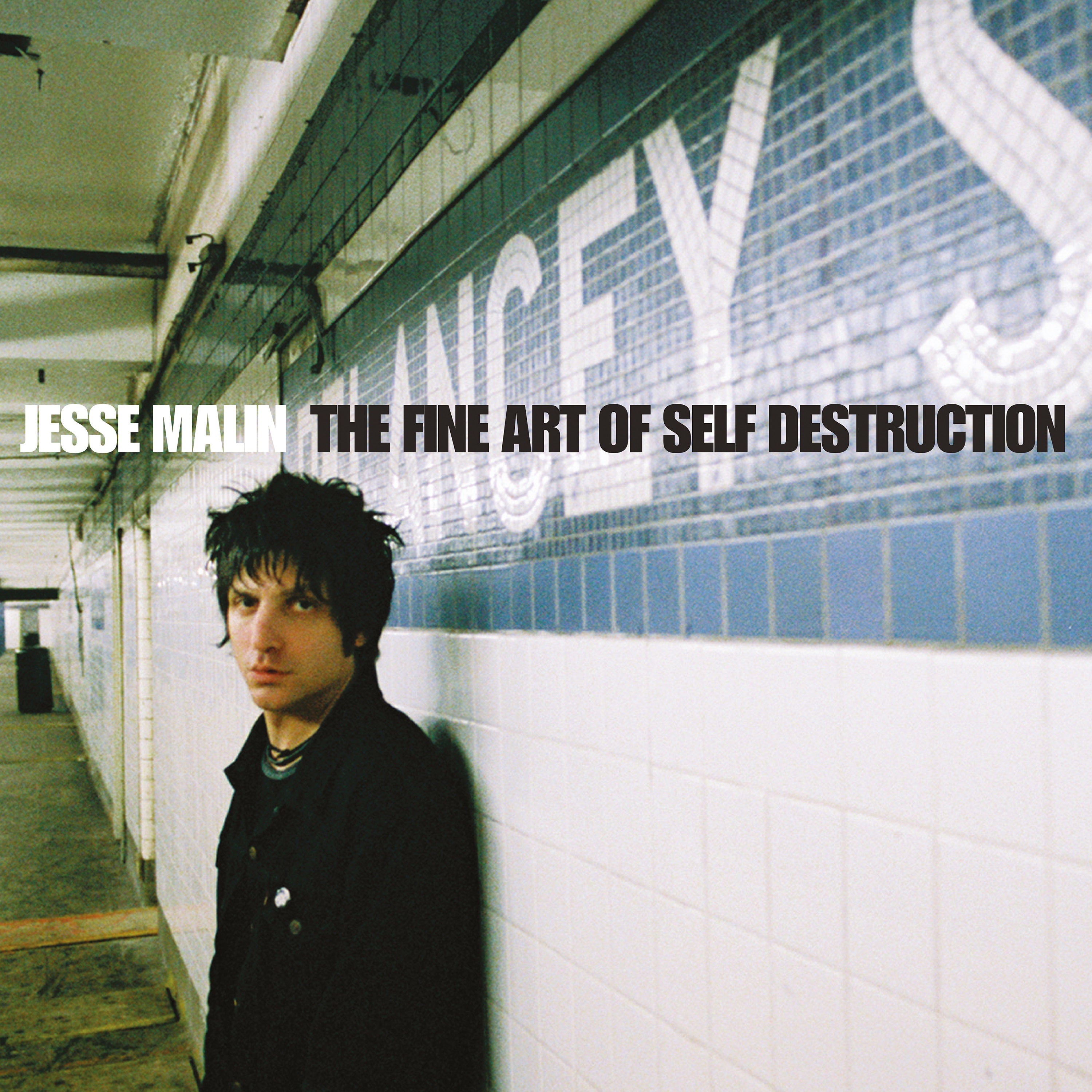 FINE ART OF SELF DESTRUCTION/20TH ANNIVERSARY EDITION - Front Cover
