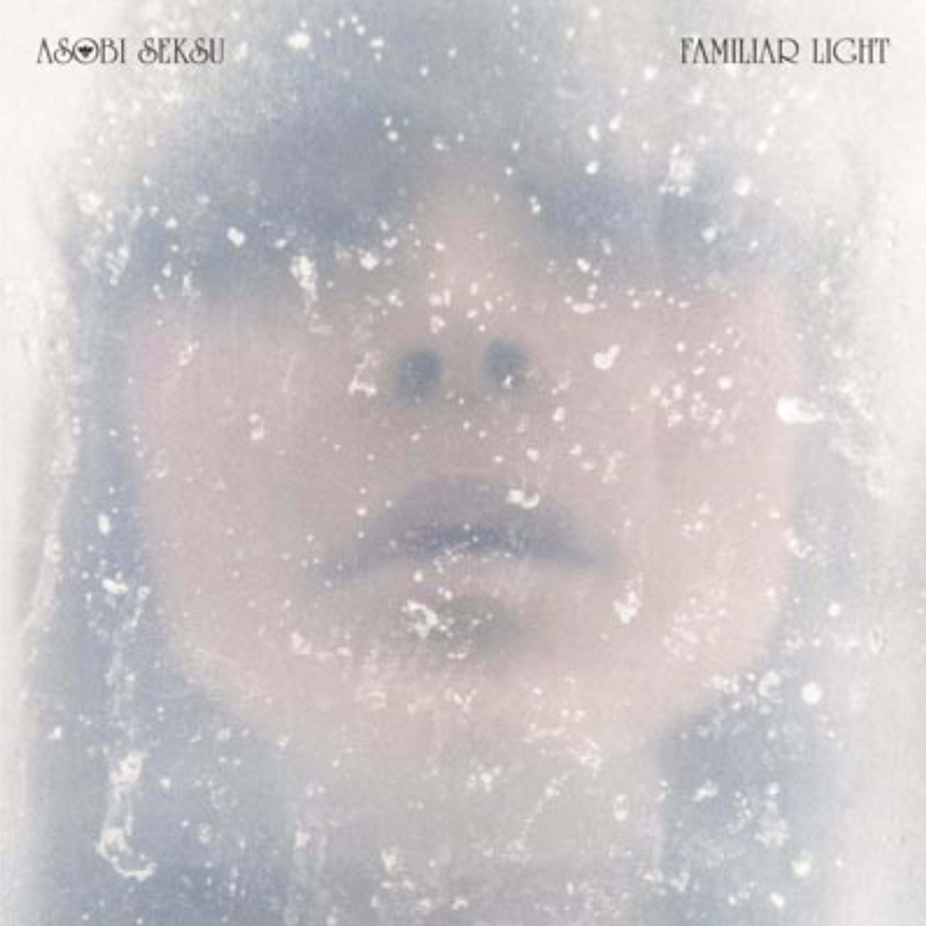 FAMILIAR LIGHT - Front Cover