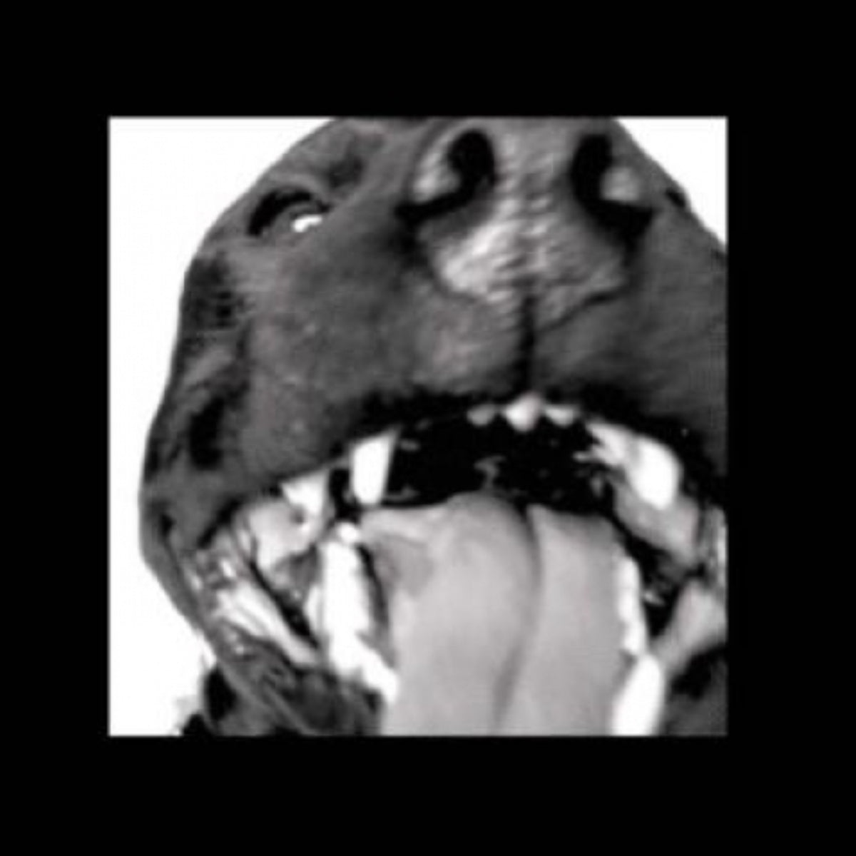 COUNTRY/MOONWALK - Front Cover