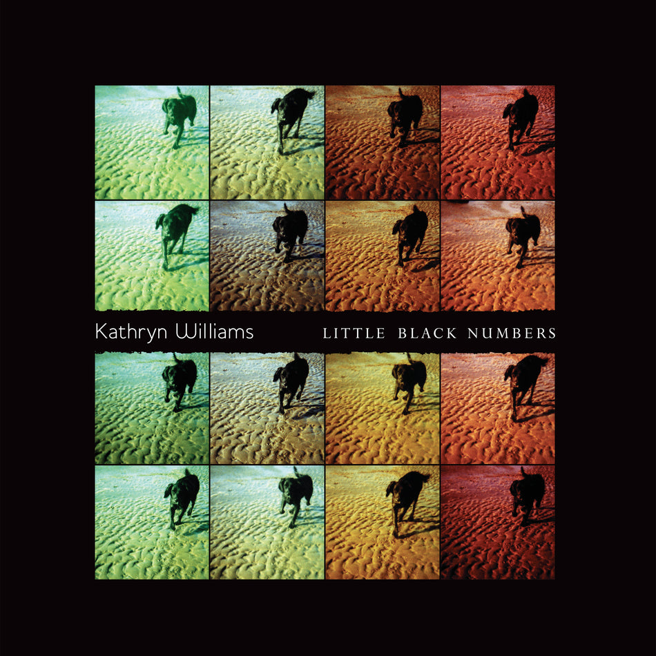 LITTLE BLACK NUMBERS - Front Cover