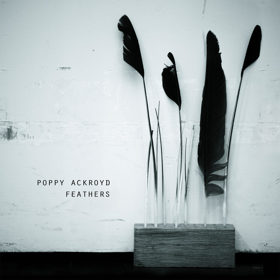 FEATHERS - Front Cover