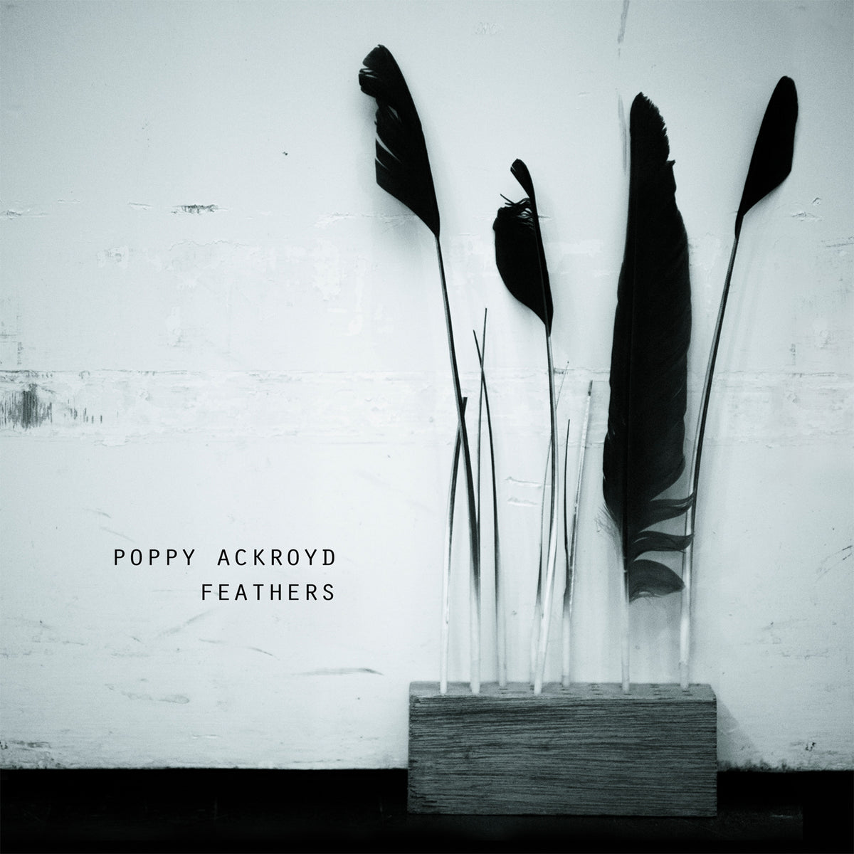 FEATHERS - Front Cover