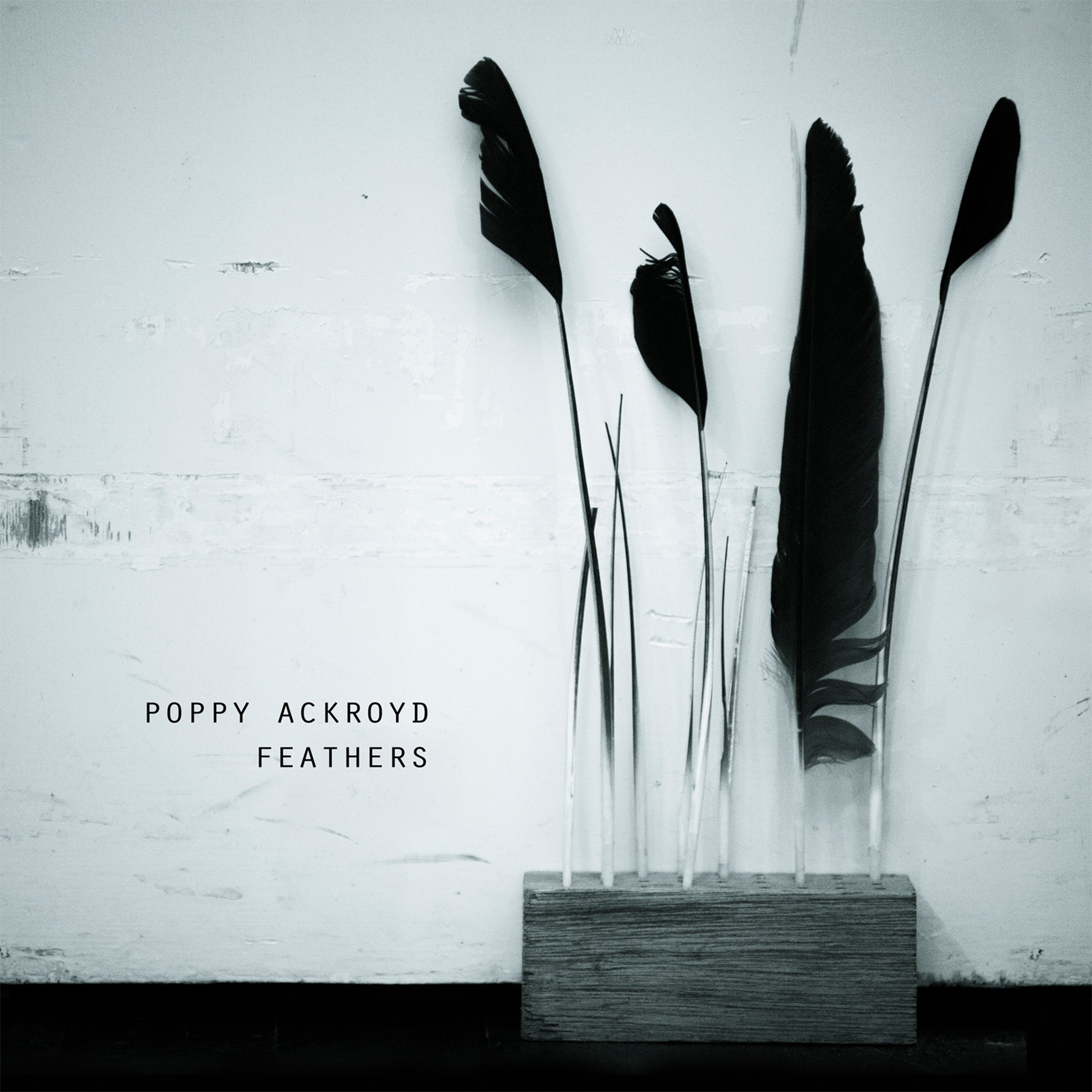 FEATHERS - Front Cover