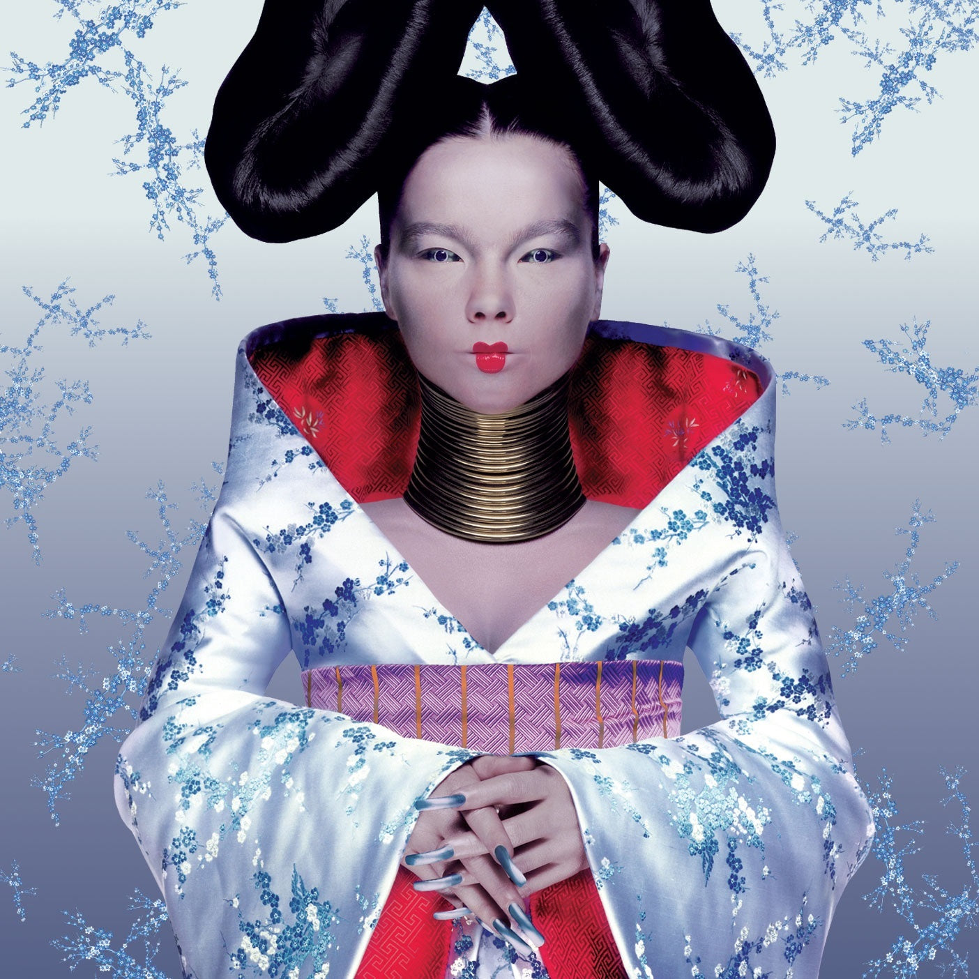 HOMOGENIC/VINYLE EDITION LIMITEE - Front Cover