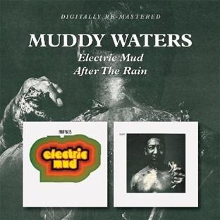 Electric mud - After the rain - Front Cover