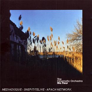 Ma fleur - Front Cover