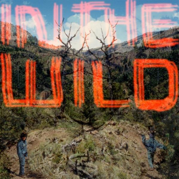In the Wild - Front Cover