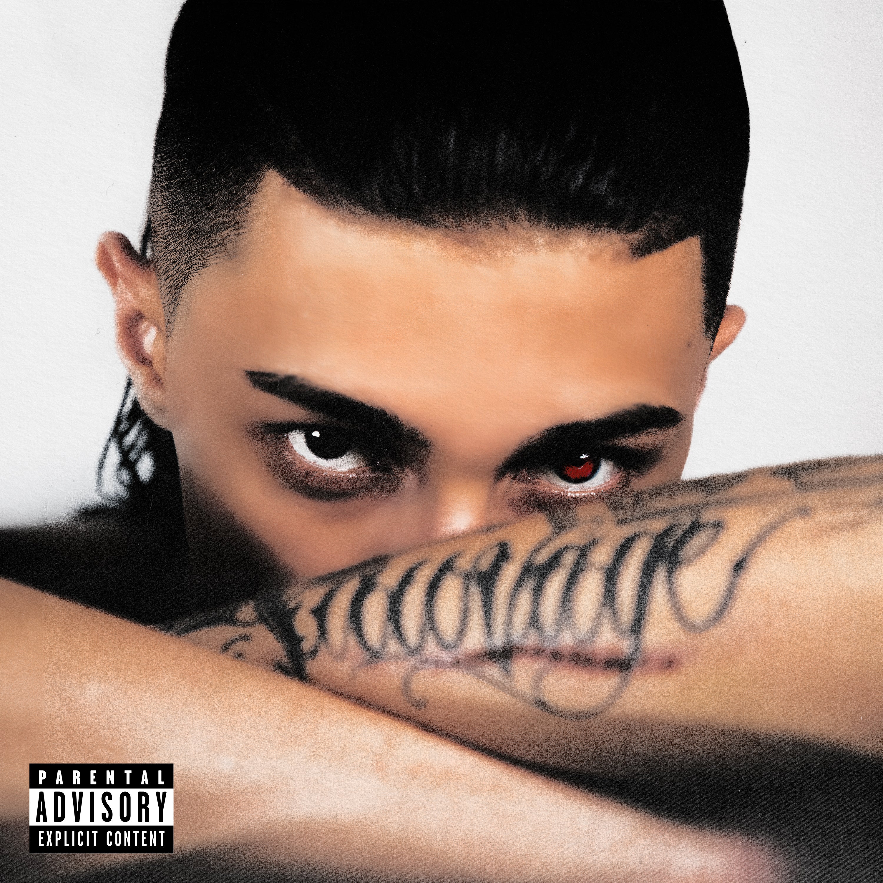 L'ANGELO DEL MALE - Front Cover