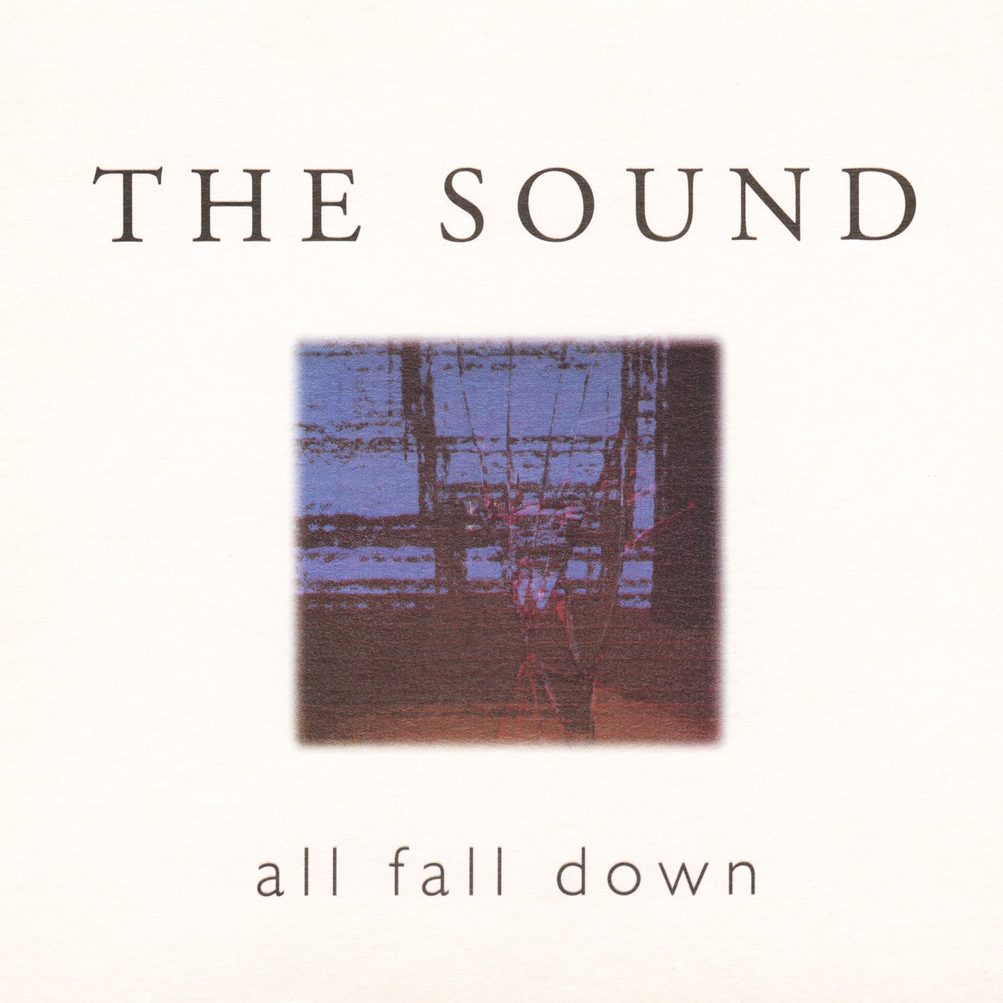 ALL FALL DOWN (EDITION LIMITEE) - Back Cover