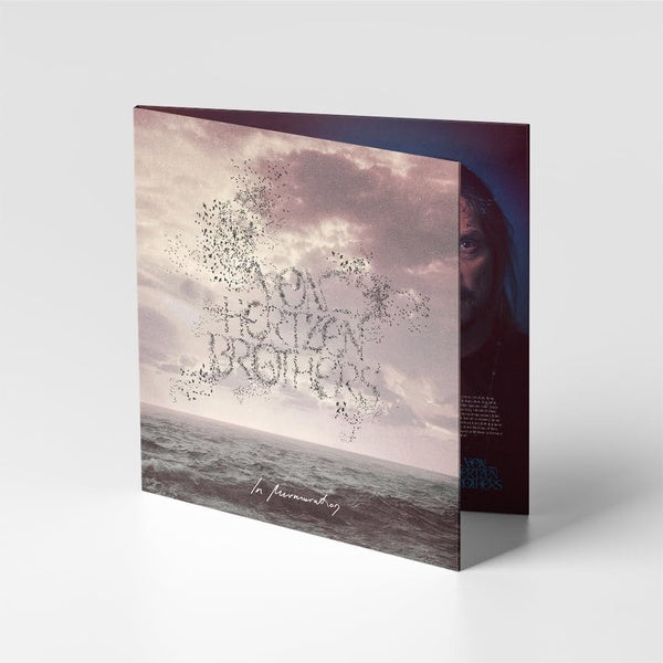 In Murmuration - Front Cover