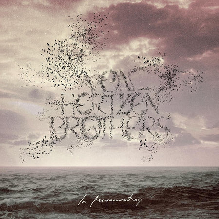 In Murmuration - Front Cover