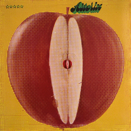 ASTERIX - Back Cover