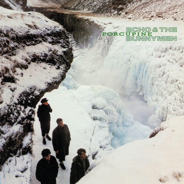 Porcupine - Front Cover