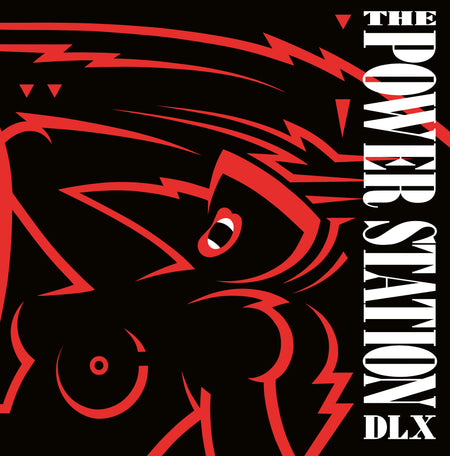 THE POWER STATION (40TH ANNIVERSARY) - Back Cover