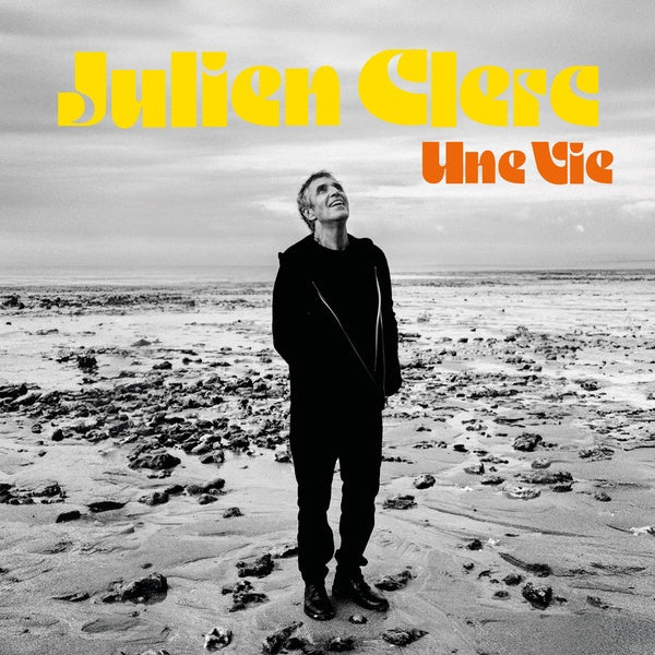 Une vie - Front Cover