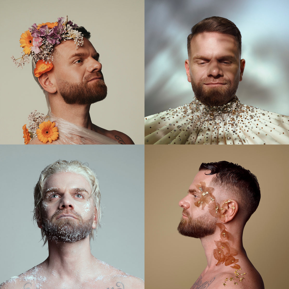 IV SAISONS - Front Cover