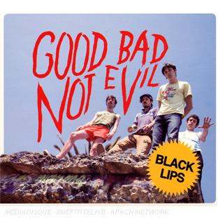 Good bad not evil - Front Cover