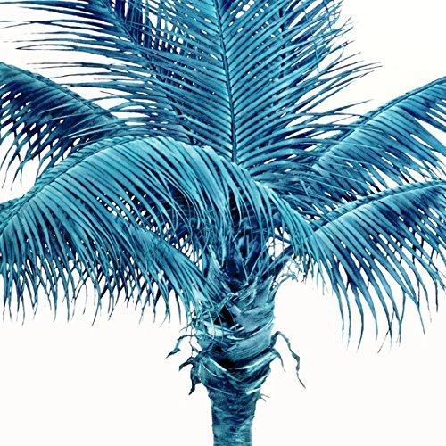 We Fam Econo - Front Cover