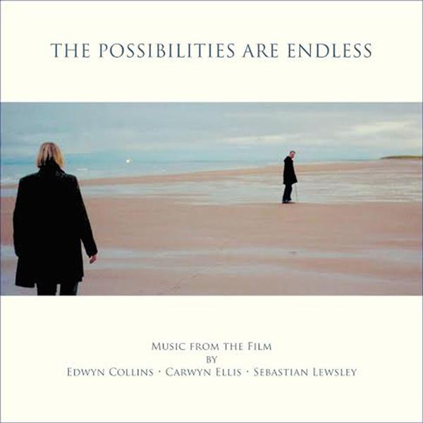 The possibilities are endless - Front Cover