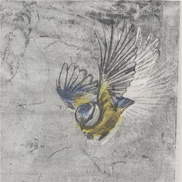 Heliotrope - Front Cover