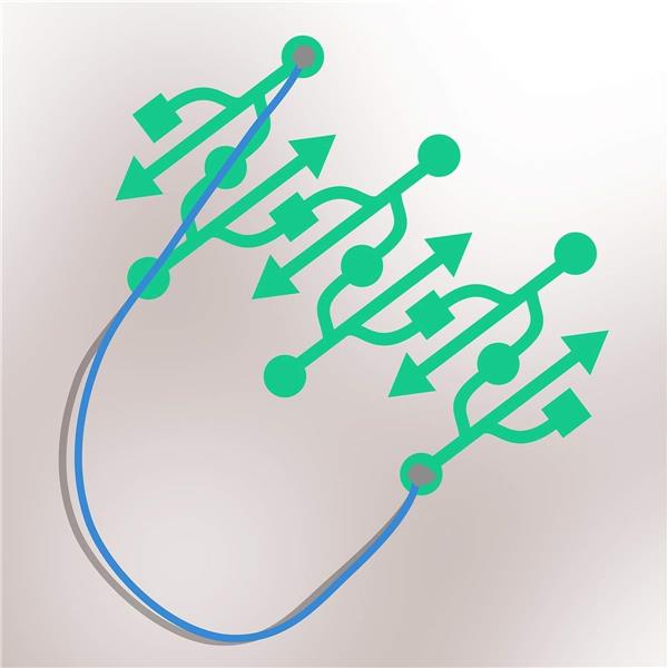 Transform/Wonder - Front Cover