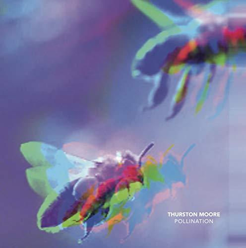 Pollination/Leave Me Alone/Yellow Vinyl/8 Page Zine - Front Cover
