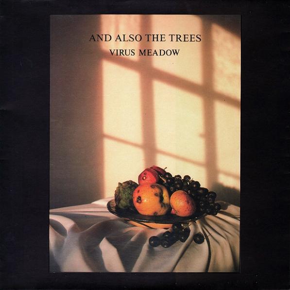 Virus Meadow - Front Cover