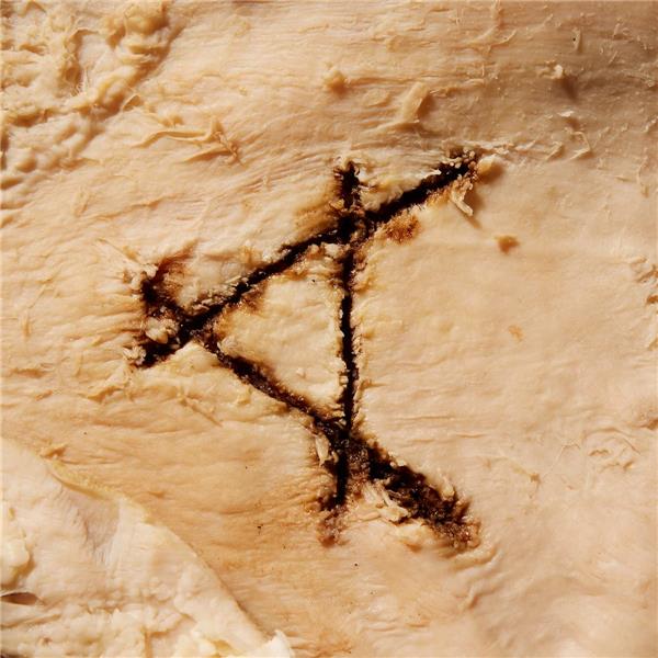 Gut Feeling - Front Cover