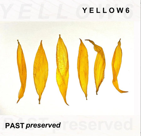 Past Preserved/Yellow Vinyl - Front Cover