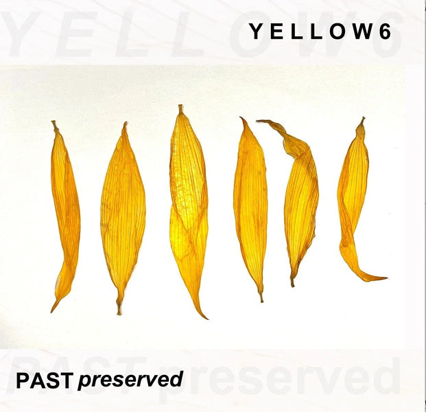 Past Preserved/Yellow Vinyl - Front Cover