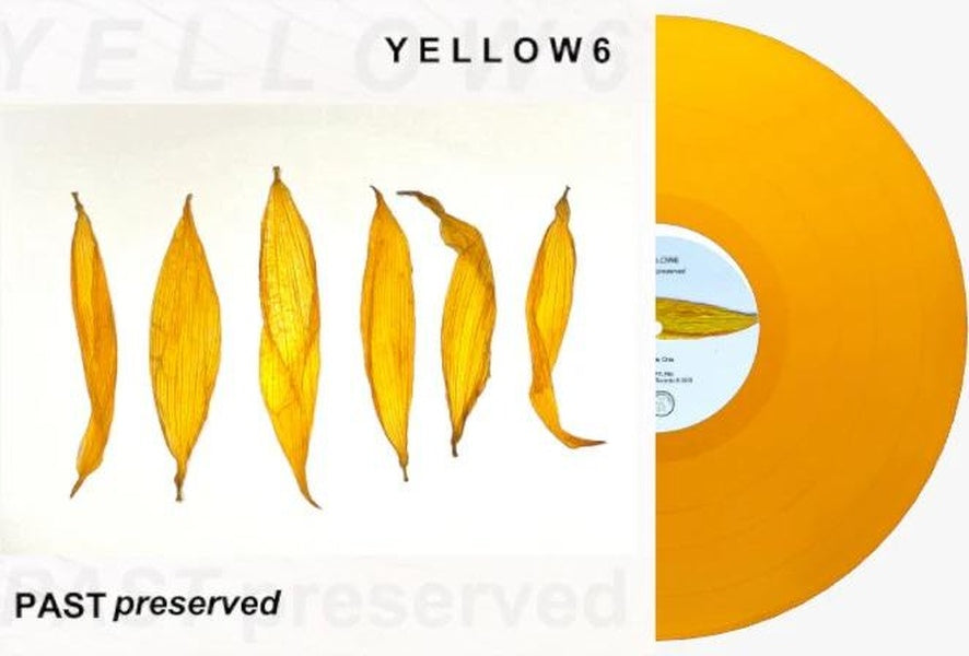 Past Preserved/Yellow Vinyl - Front Cover