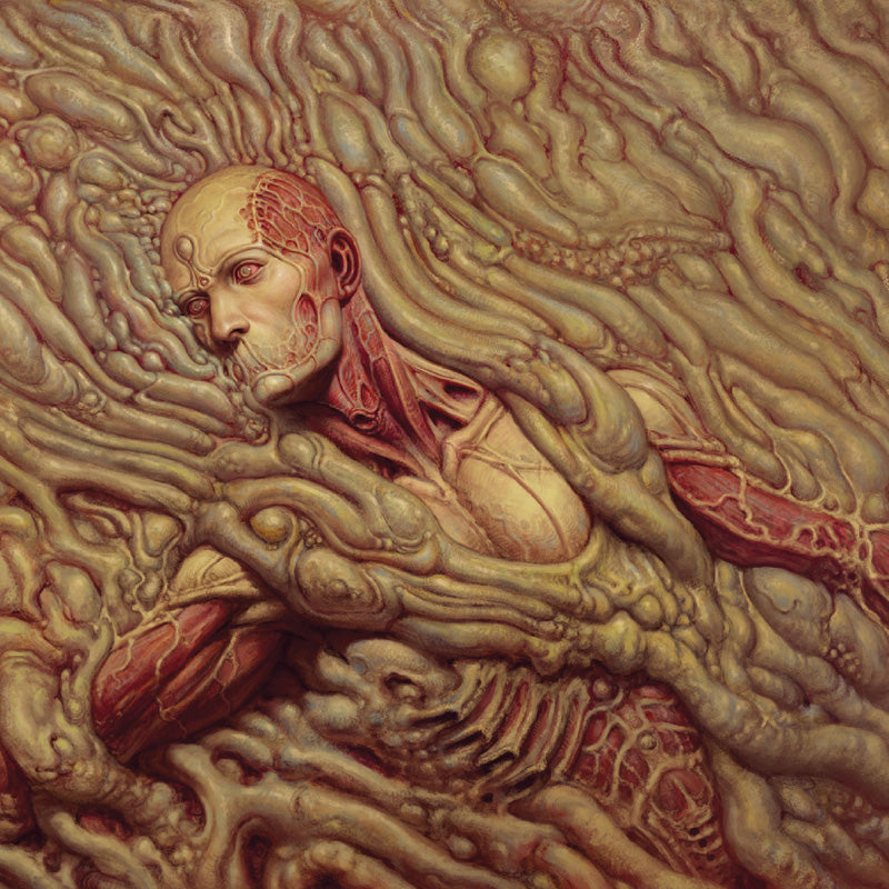 Scorn - Front Cover