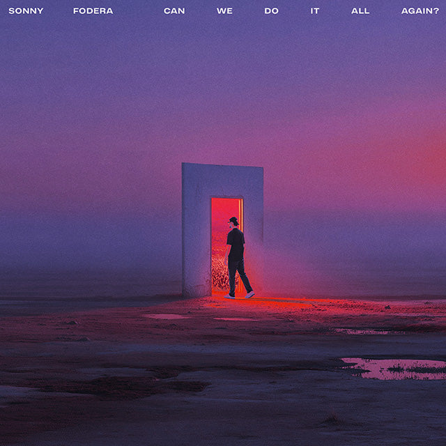 CAN WE DO IT ALL AGAIN? - Front Cover