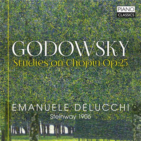 Leopold Godowsky : études sur Chopin, op. 25 - Front Cover