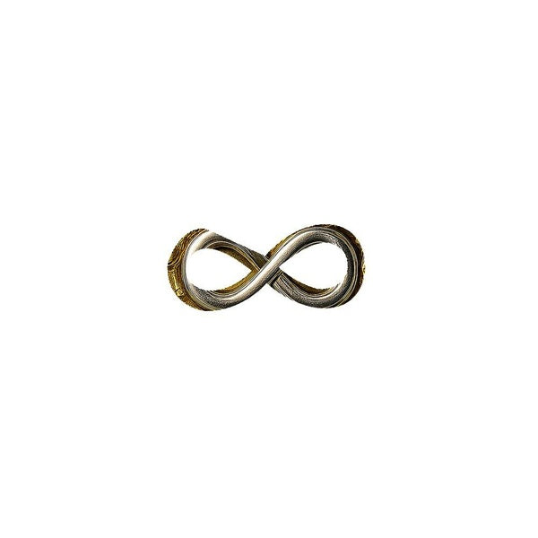 Infinity Parabellum Édition Limitée - Front Cover